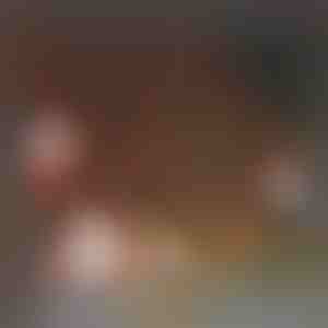 180x Vianočné nálepky | XMASCLINGS