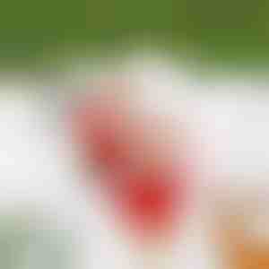 Santa lezúci po reťazi SANTACLIMB