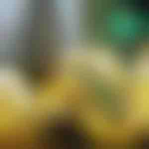 Svietiaca vianočná stuha (500 cm) | SHINESTRAP 1+1 ZADARMO