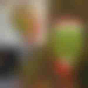 Vianočné dekorácie | ELFLEGS