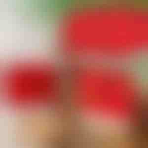 Návleky na jedálenské stoličky vo vianočnom štýle (4ks) | SANTASEAT