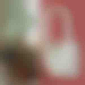 Ultrazvukový prístroj na ničenie komárov s frekvenčnou konverziou a LED svetlom na spanie | ANTIMOSI