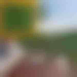 Panel na ochranu súkromia s umelými listami | LEAFPANEL