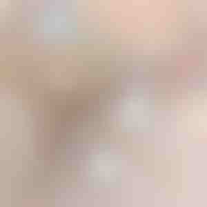 Ručný akumulátorový vysávač | VACUSTICK