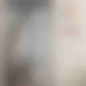 Magnetická sieť na dvere proti hmyzu | INSECTPROTECT