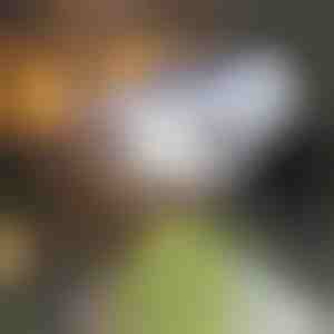 Solárny zameriavač so senzorom pohybu | LUMACAM