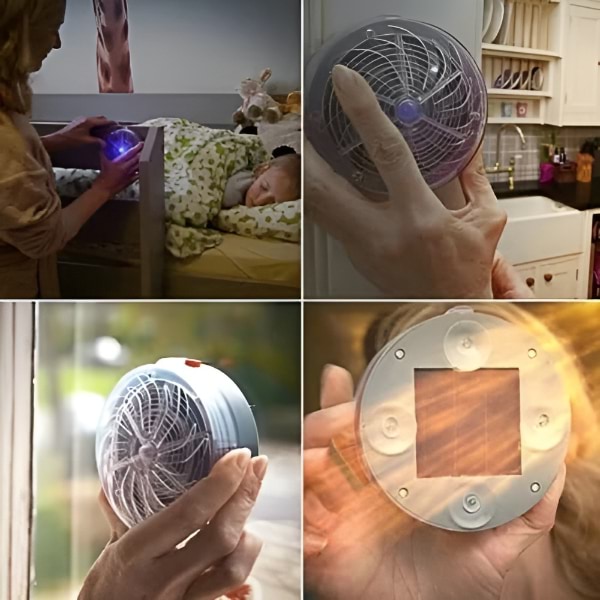 BUZZORA13200__ce15427c