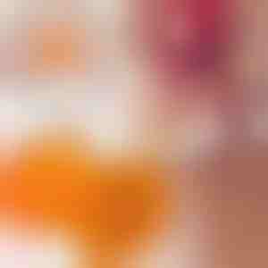 Lis na čevapčiči | CEVAPMAKER