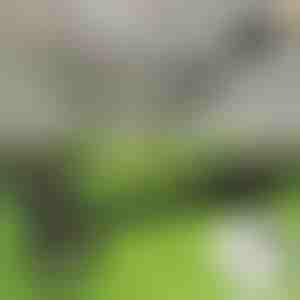 Nástroj na odstraňovanie buriny v stoji | RUNCO