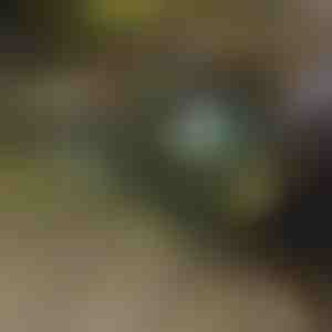 Skladací vozík | TROLLYFOLD