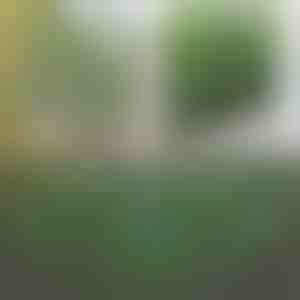 Dekoratívny a praktický plot pre terasu a záhradu | GREENFENCE