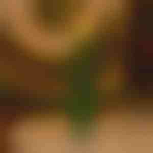 Bezplameňová blikajúca sviatočná sviečka | CANDLETREE