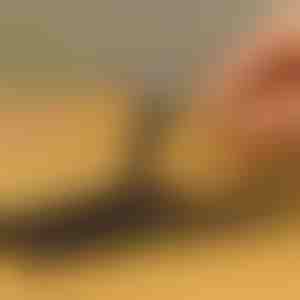 Súprava 10 ks vyťahovačov skrutiek | SCREWX