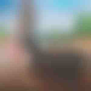 Ľahko zbaliteľná cestovná taška | FOLDARA